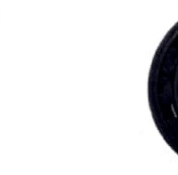 POWERBILT POWERBILT OIL SEAL BIG 3381 3381